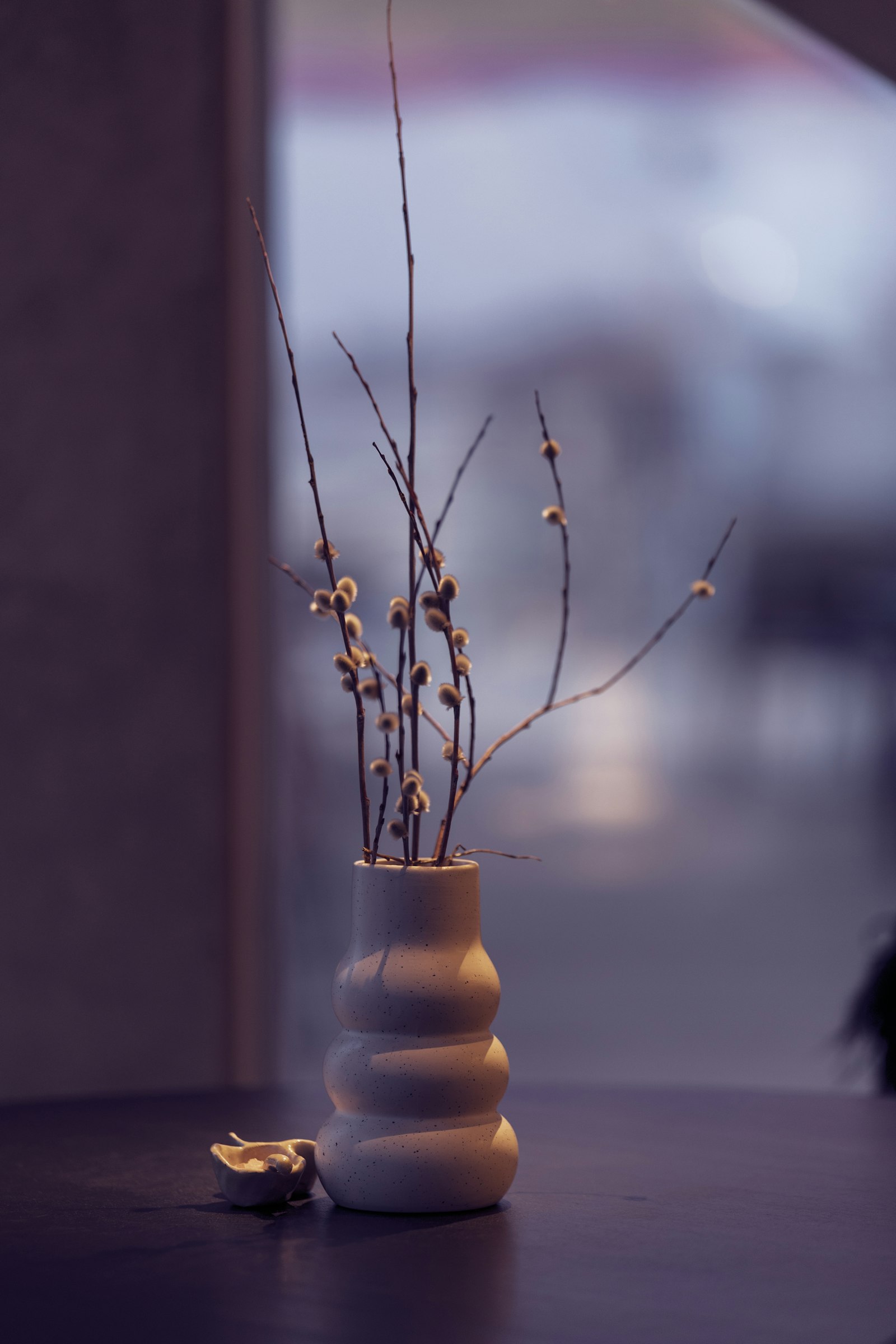 白い花器に生けたねこやなぎの枝